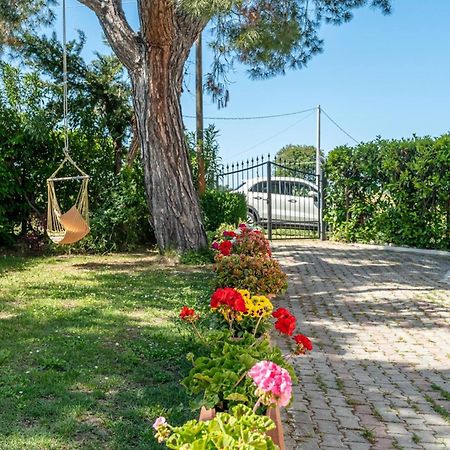 Villa Turin - Yourplace Abruzzo Торино ди Сангро Екстериор снимка