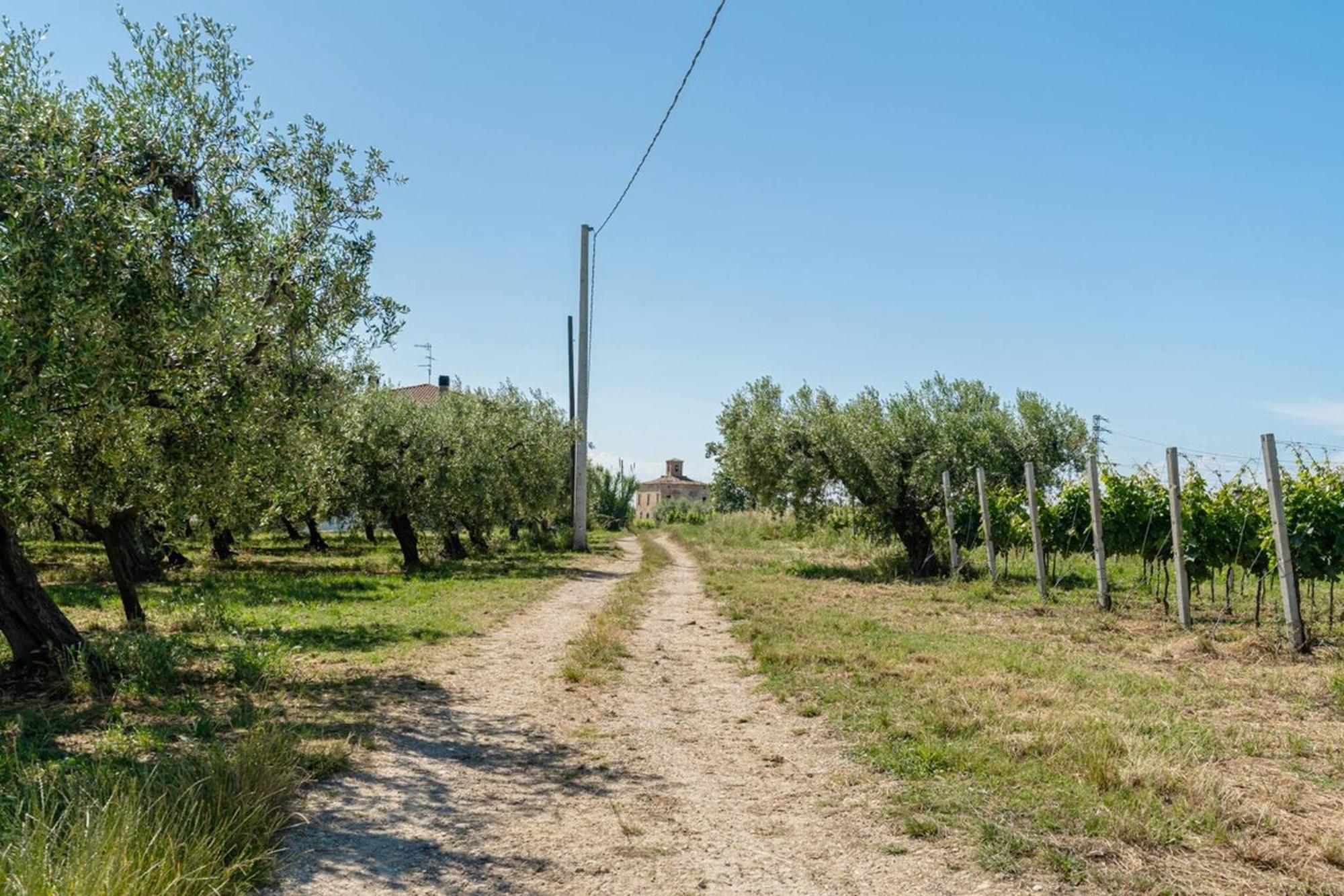 Villa Turin - Yourplace Abruzzo Торино ди Сангро Екстериор снимка